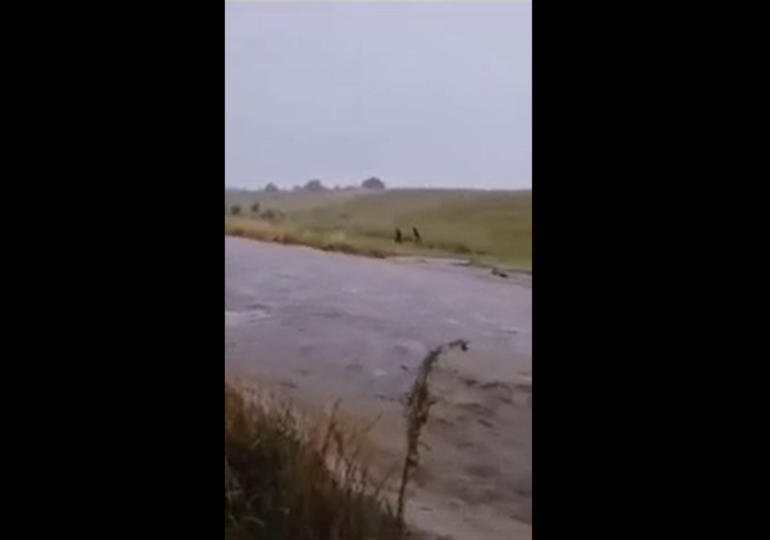 Viitură în Tulcea: O mașină a fost luată de ape (Video)