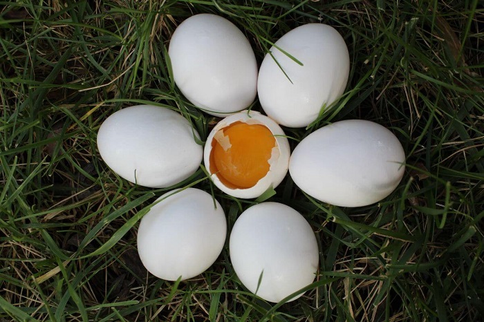 Cât se fierb ouăle pentru a nu crăpa? Sfaturi utile pentru evitarea greșelilor frecvente