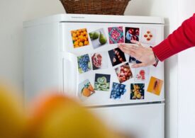 Combină frigorifică versus frigider și congelator separat - Care este cea mai bună opțiune?