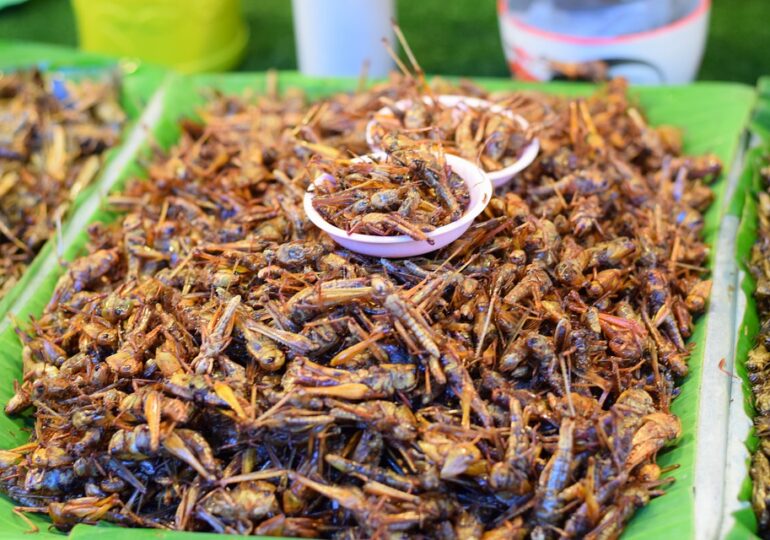 Proiectul privind etichetarea făinii de gândaci, greieri și lăcuste a fost adoptat de Parlament
