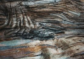 Versatilitatea lemnului - Află mai multe detalii despre acest material