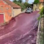 Un sat din Portugalia a fost inundat cu peste 2 milioane de litri de vin roșu (Video)