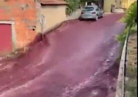 Un sat din Portugalia a fost inundat cu peste 2 milioane de litri de vin roșu (Video)