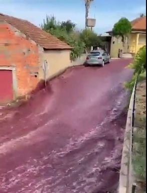 Un sat din Portugalia a fost inundat cu peste 2 milioane de litri de vin roșu (Video)