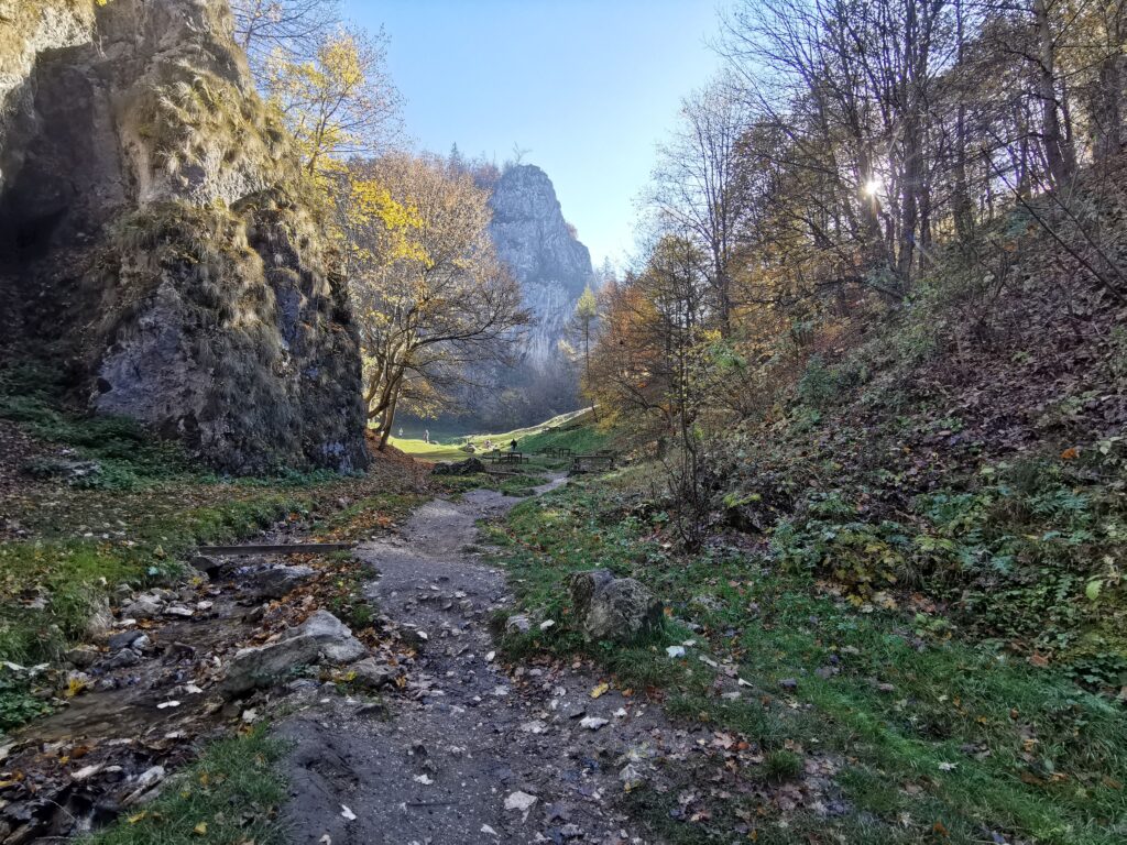 Resturi de dronă, găsite pe un câmp din Buzău