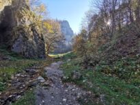 Resturi de dronă, găsite pe un câmp din Buzău. Ciudat e că nu au nicio inscripție
