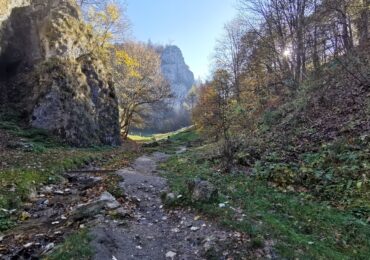 Resturi de dronă, găsite pe un câmp din Buzău