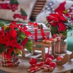 Crăciunița, Floarea Nopții Sfinte: curiozități și sfaturi de întreținere