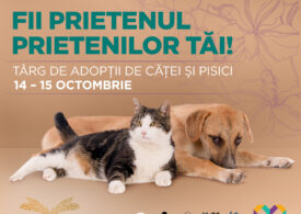 Târg de adopții de animale în acest weekend în București: Fii prietenul prietenilor tăi!