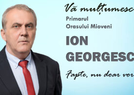 Ion Georgescu, suspendat din funcția de primar al orașului Mioveni după arestare