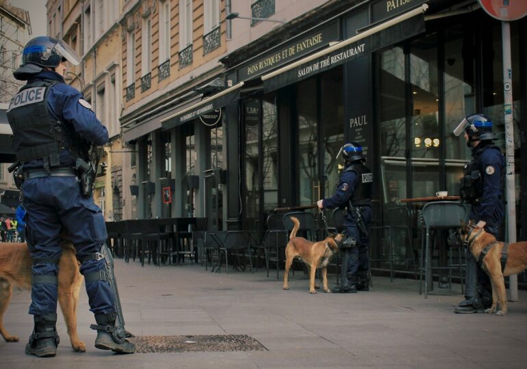 Guvernul francez trimite câini polițiști să vâneze ploșnițele din metrou: „Nu este nevoie de psihoză sau frică”