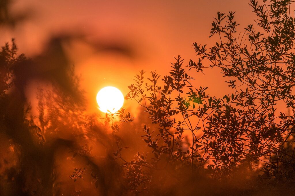 Record de temperatură în Franța. Canicula topește șoselele, unele drumuri sunt închise. Nici trenurile nu mai circulă. Vas de croazieră blocat