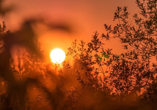 Sudul Europei se sufocă sub un val de caniculă: Temperaturi record, risc de incendii, școli închise
