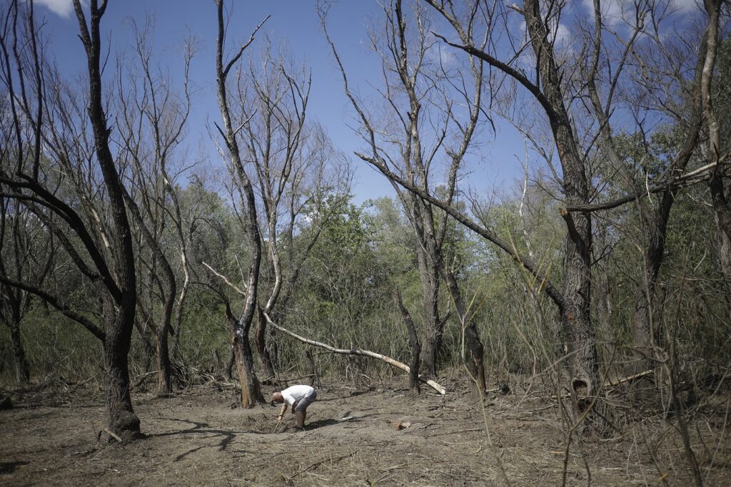 Incendiu într-o pădure de lângă Plauru, după explozia unei drone