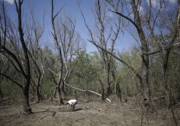 Incendiu într-o pădure de lângă Plauru, după explozia unei drone
