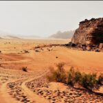 Primii oameni au migrat din Africa în urmă cu 84.000 de ani, dar ruta e alta decât se credea până acum