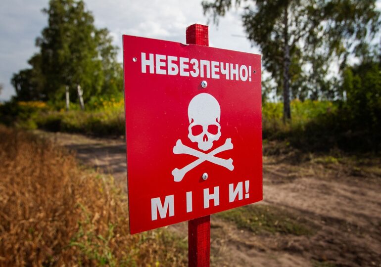 Miere, albine și câmpuri minate. Ucraina recurge la "diplomația dulce"