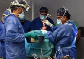 Primul pacient din istorie cu transplant de rinichi de porc a murit