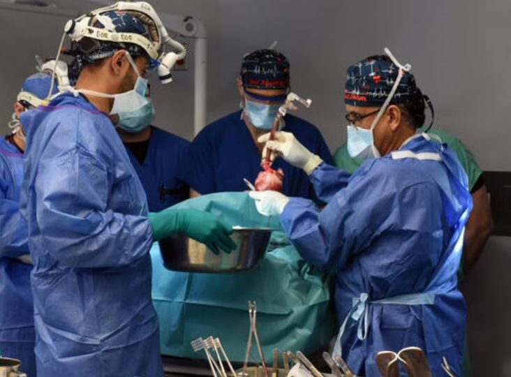 Xenotransplant: A doua persoană din lume care a primit o inimă de porc se simte bine la o lună după operație