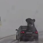 Poliția intervine după un viral cu un tânăr sărind pe un BMW de Vaslui, pentru a sprijini tracțiunea pe spate (Video)