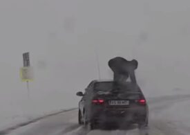 Poliția intervine după un viral cu un tânăr sărind pe un BMW de Vaslui, pentru a sprijini tracțiunea pe spate (Video)