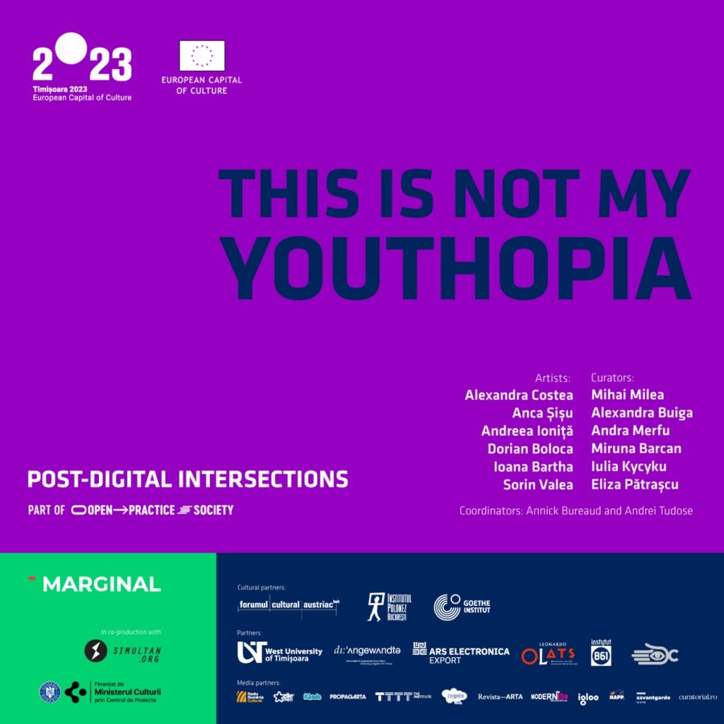 Post-Digital-Intersections_THIS-IS-NOT-MY-YOUTHOPI