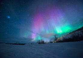 Steve, fenomenul rar care seamănă cu aurora boreală și care îi intrigă pe cercetători (Foto)
