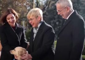 Câinele Maiei Sandu l-a mușcat pe președintele Austriei (Video)