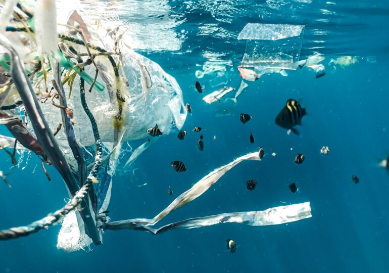 Cercetătorii au inventat plasticul care se autodistruge și devine hrană pentru viețuitoarele marine