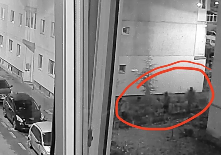 Imagini cu presupușii asasini ai omului de afaceri Adrian Kreiner au fost făcute publice de un fost polițist (Video)