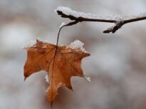 Temperaturile scad brusc și accentuat în toată țara