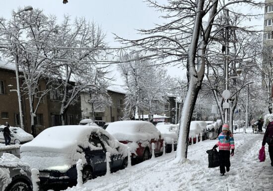 galerie foto cu Prima zi cu zăpadă mare în București, 20 ianuarie 2024