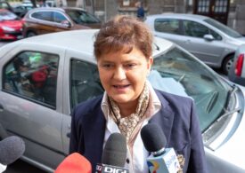 Fostul ministru Anca Boagiu este consultant pentru pregătirea aderării la UE a Republicii Moldova