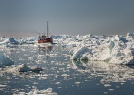Alertă climatică: Groenlanda pierde în fiecare oră 30 de milioane de tone de gheață <span style="color:#990000;">SONDAJ</span>