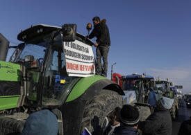 Agricultura românească, aproape de faliment: Costurile tind să sară peste venituri, ferma medie a devenit nesustenabilă