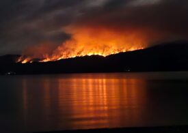 Un incendiu în Argentina distruge 600 de hectare într-un sit UNESCO (Foto&Video)