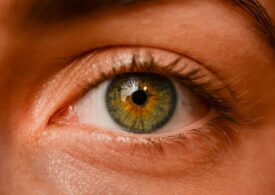 The eyes can predict dementia up to 12 years before diagnosis