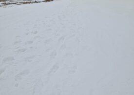 Bocanci vs. schiuri: Administratorul pârtiilor din Poiana Brașov le cere turiștilor să nu mai strice zăpada coborând pe jos