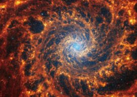 Imagini uimitoare cu 19 galaxii spirală surprinse cu ajutorul telescopului James Webb (Foto & Video)