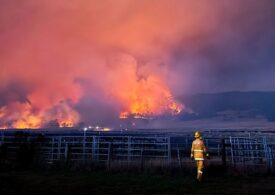 Incendiu uriaș în Australia, unde sunt 40 de grade: 30.000 de persoane au primit ordin de evacuare (Foto & Video)