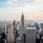 New York va stârpi șobolanii într-un mod „uman”