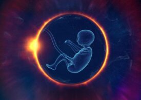 Într-un stat american, Curtea Supremă aplică o lege din 1872 și a decis că embrionii congelați sunt ”copii”