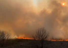 Arde Delta Văcărești: Focul a cuprins 1,5 hectare. A fost emis RO-Alert