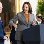 Donatori ai Partidului Democrat discută de strângerea de fonduri pentru Kamala Harris