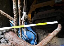 Rămășițe ale unor animale străvechi au oprit lucrările la metroul din Bruxelles. S-au găsit inclusiv fosile de mamut!