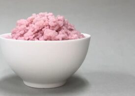 A fost creat în laborator un nou aliment: orezul cărnos!