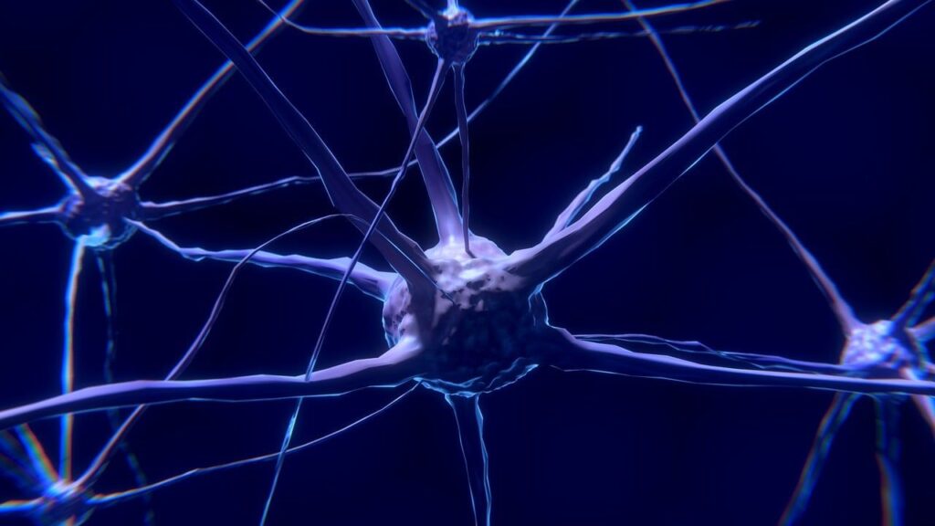 Ce cauzează sindromul oboselii cronice: Cercetătorii au descoperit anomalii în creier și sistemul imunitar. De la ce ar porni totul