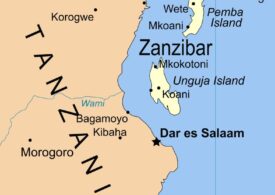 Zanzibar: Opt copii și un adult au murit după ce au mâncat carne de broască țestoasă marină