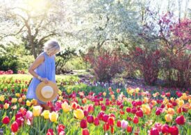 Cum să îngrijești florile care cresc în grădină? Iată 5 recomandări utile pentru o amenajare eficientă!