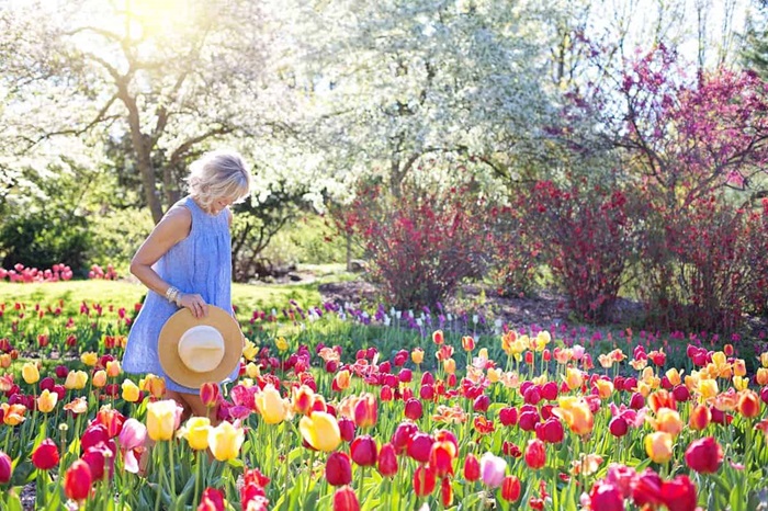 Cum să îngrijești florile care cresc în grădină? Iată 5 recomandări utile pentru o amenajare eficientă!